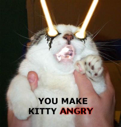 f-angry-kitty-3055.jpg
